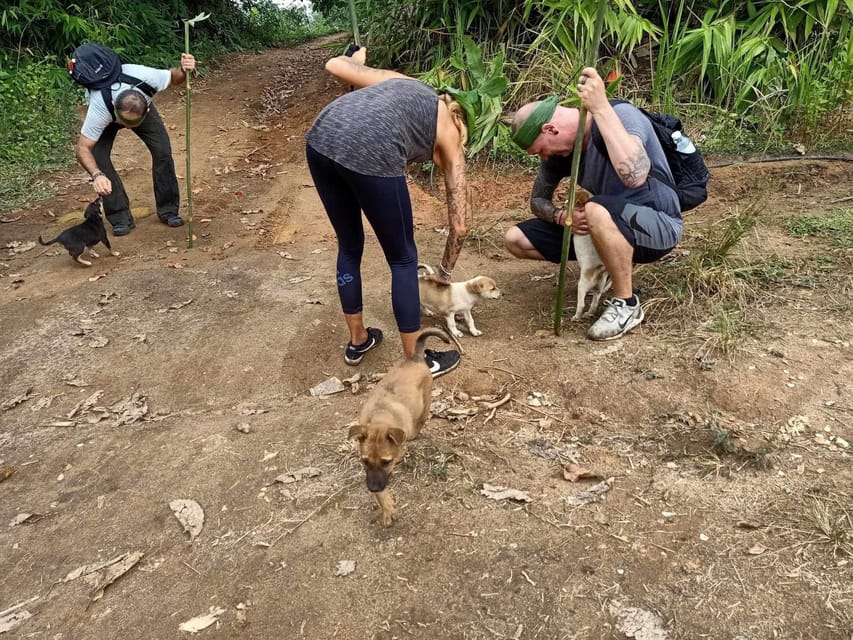 1 Day trekking : Chiang Rai popular activity,Fun in Nature. - Chinese village and tea plantation