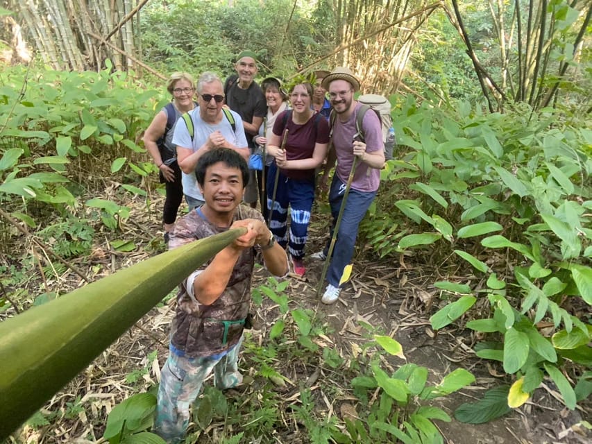 1 Day trekking : Chiang Rai popular activity,Fun in Nature. - The 9 a.m. pickup from Mueang Chiang Rai