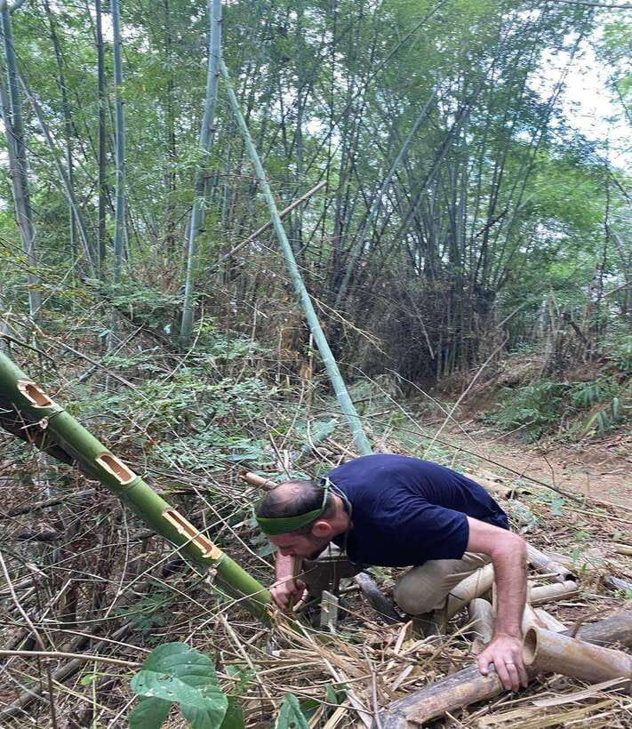 1 Day Trekking in Chiang Rai forest (walk only) - How hard is the trek?
