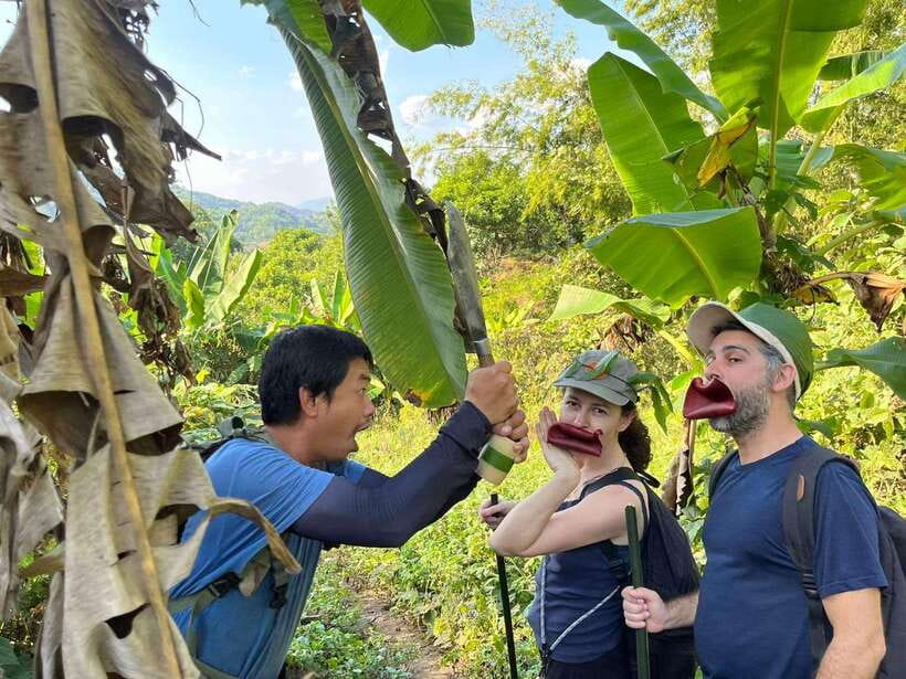 1 Day Trekking in Chiang Rai forest (walk only) - Starting at the hot springs and entering the bamboo forest