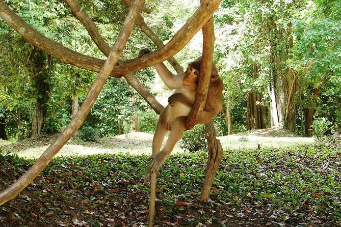 2-Day Angkor Wat Tour from Bangkok - Bayon and the faces of Angkor Thom