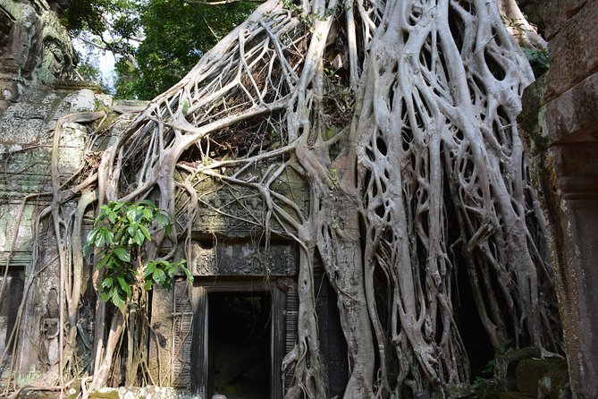 2-Day Angkor Wat Tour from Bangkok - The long return to Thailand