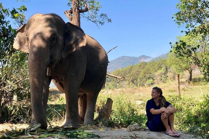 3-in-1: Doi Inthanon Tour, Elephant Sanctuary, and Trekking Trail - Who should book this Doi Inthanon tour?