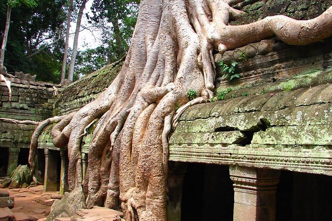 4 Days Expedition From Bangkok to Angkor Wat - The big picture: four days, two countries, one long overland connection