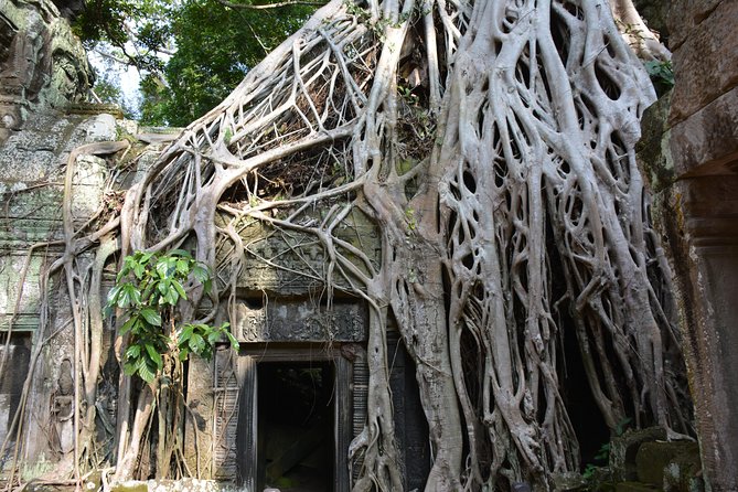 4 Days Expedition From Bangkok to Angkor Wat - Who should book this four-day route?