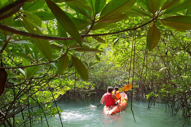 4-Waters Eco-Adventure Trip from Phuket Including Lunch - Thai lunch beside the jungle