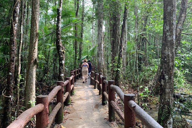 All day Krabi Jungle Tour (Hot Spring Water, Emerald Pool, Tiger Cave Temple) - Namtok Ron: a hot bath under the trees