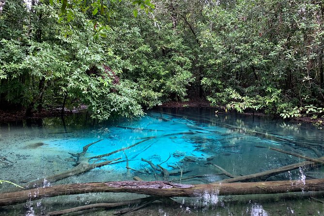All day Krabi Jungle Tour (Hot Spring Water, Emerald Pool, Tiger Cave Temple) - Tiger Cave Temple and the climb that changes the day