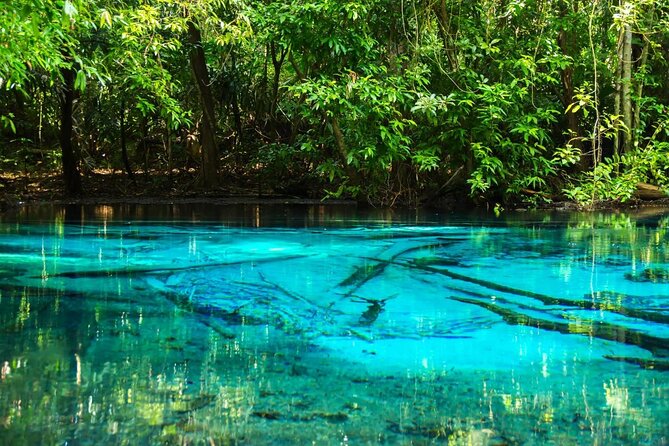 All day Krabi Jungle Tour (Hot Spring Water, Emerald Pool, Tiger Cave Temple) - Emerald Pool and the rainforest nature trail