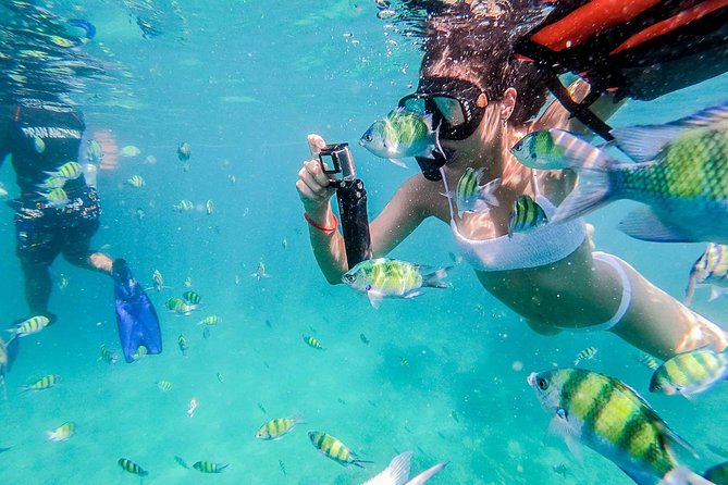 All-in Phi Phi, Maiton, MayaBay, Khai, Bamboo islands Tour - From hotel pickup to the private pier