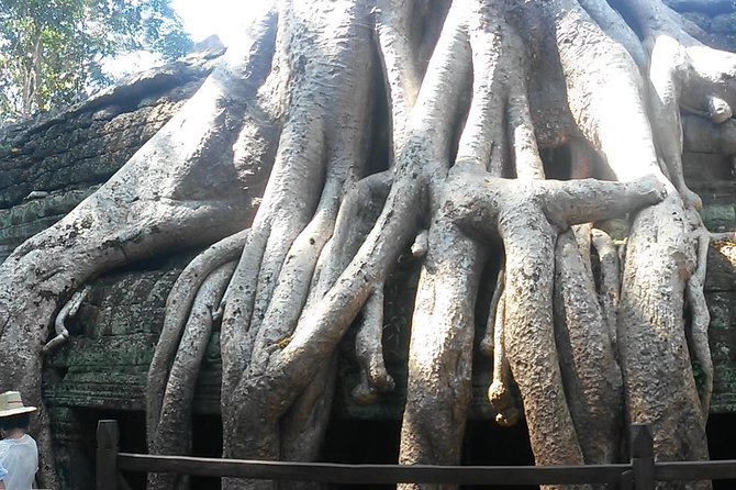 Angkor Wat 3-Day Tour from Bangkok - The return to Thailand on day three