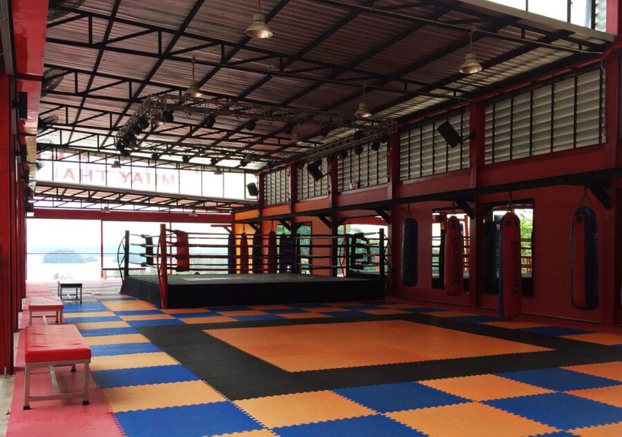 Ao Nang, Krabi: 90-Minute Muay Thai Lesson - Who will get the most from this experience?