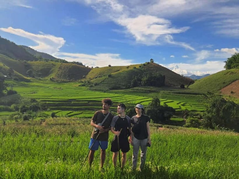 Authentic trek only walk in Chiang Rai jungle - Tea plantations bring a quieter stretch of walking
