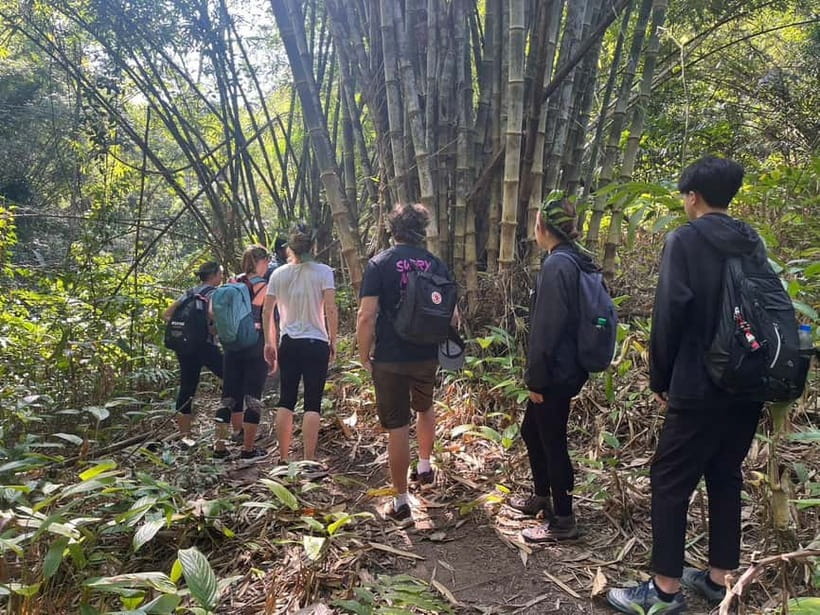 Authentic trek only walk in Chiang Rai jungle - Lisu and Chinese villages give the day a human side