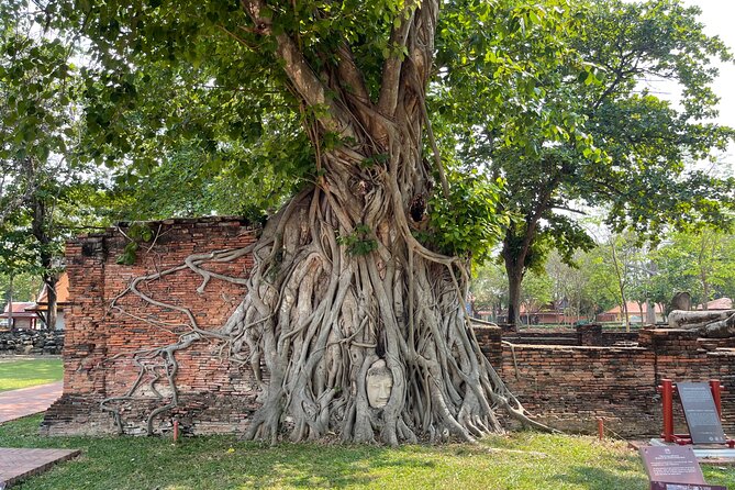 Ayutthaya Historical Old Capital day Tour from Bangkok - Wat Mahathat and the Buddha among tree roots