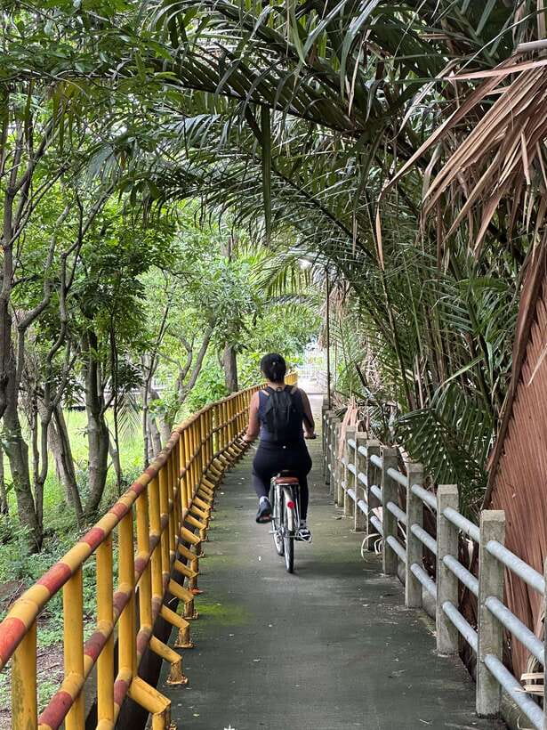 Bangkok: Bang Kachao Green Lung Bike Tour - How much value do you get for $43?