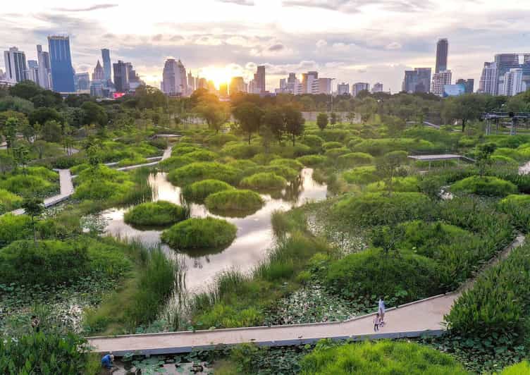 Bangkok Bicycle rental Benjakitti Park - Timing, weather, and small practical choices