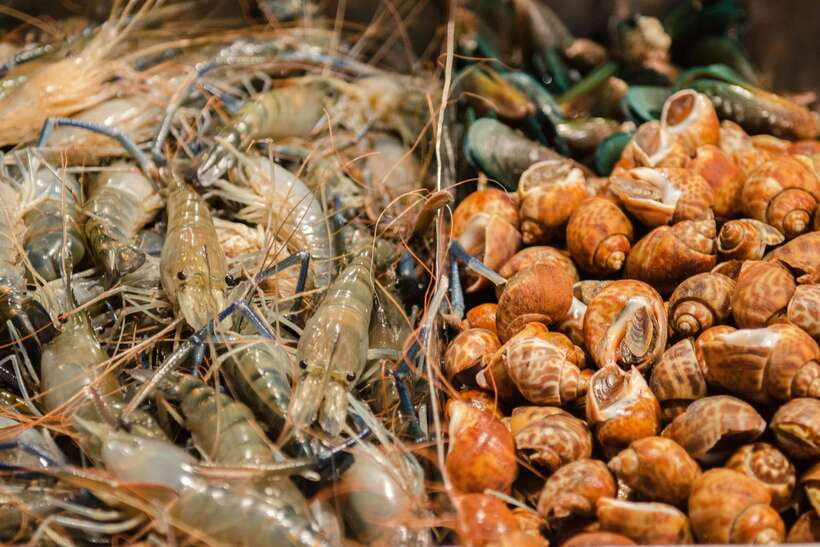 Bangkok: Chinatown Night Food Tour - Seven stops, from street food to sit-down cooking