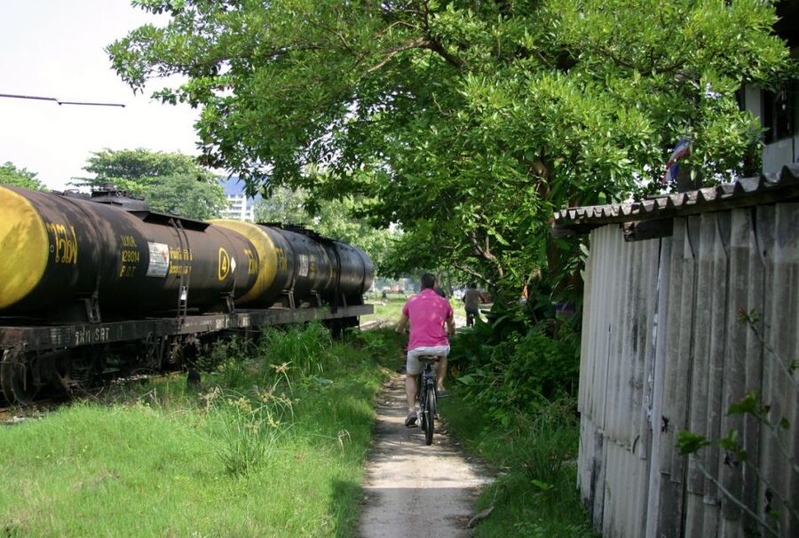 Bangkok: City Culture half-day Bike Tour - Lumpini Park and its large reptile residents