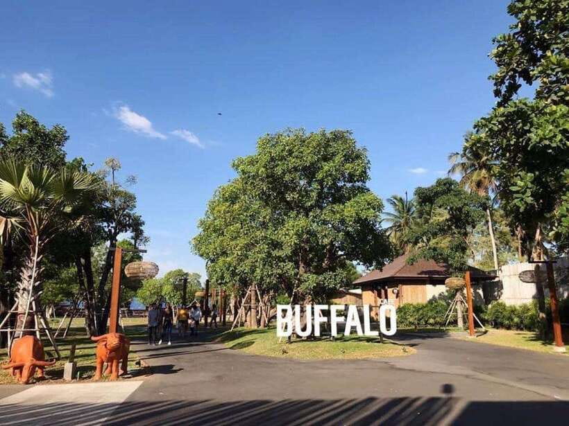 Bangkok: Damnoen Saduak and Train Market with Boat Ride - Taking a break at Buffalo Café