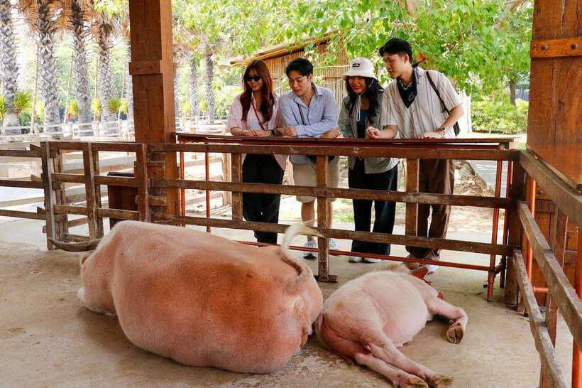 Bangkok: Damnoen Saduak and Train Market with Boat Ride - Starting early from CentralWorld