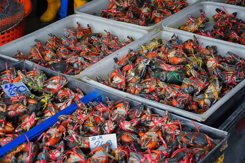 Bangkok: Damnoen Saduak Market and Maeklong Railway Market - Who Will Enjoy This Seven-Hour Trip?