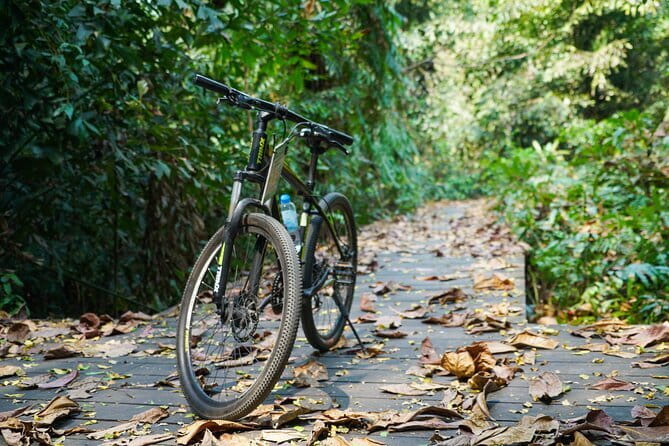 Bangkok Green Oasis Nature Bike Tour - Thai tea at a local cafe