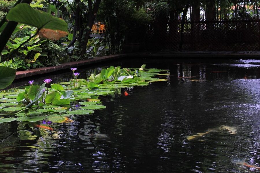 Bangkok: Jim Thompson House and Baan Krua Community Tour - Buying silk without feeling pressured