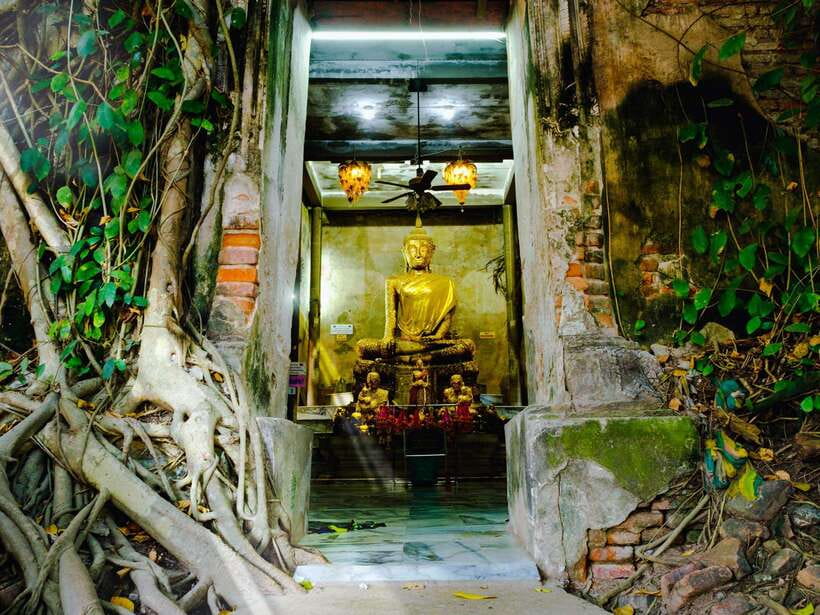 Bangkok: Maeklong Railway & Amphawa Floating Market Day Trip - Key points to know before you book