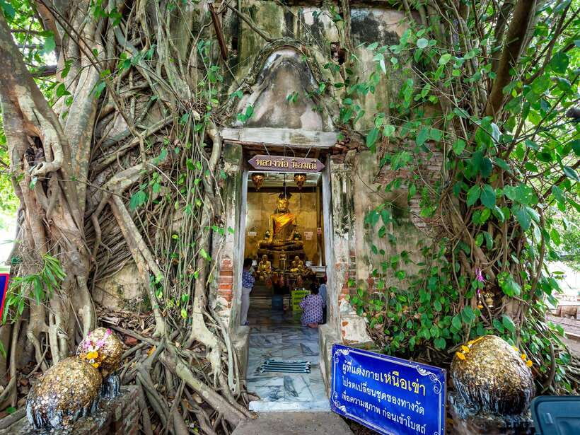 Bangkok: Maeklong Railway & Amphawa Floating Market Day Trip - Should you book the Maeklong and Amphawa day trip?