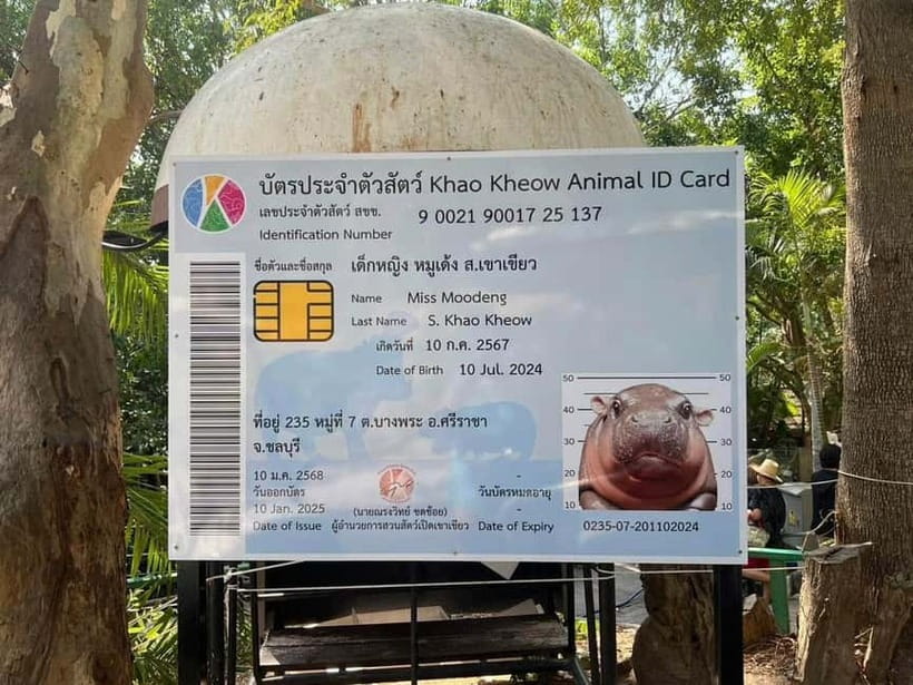 Bangkok/Pattaya: Khao Kheow Zoo Private Tour with Pickup - What the six-hour schedule really gives you