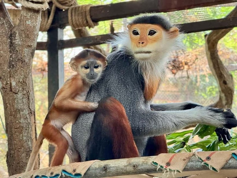 Bangkok/Pattaya: Khao Kheow Zoo Private Tour with Pickup - Who will enjoy this zoo trip most?