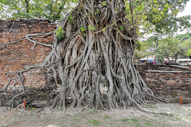 Bangkok: Private Ayutthaya and Bang Pa-In Summer Palace Tour - The guide can make or break the ruins