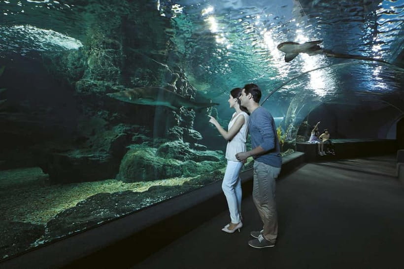 Bangkok: SEA LIFE Bangkok & Madame Tussauds Entry Ticket - Start below Siam Paragon at SEA LIFE Bangkok
