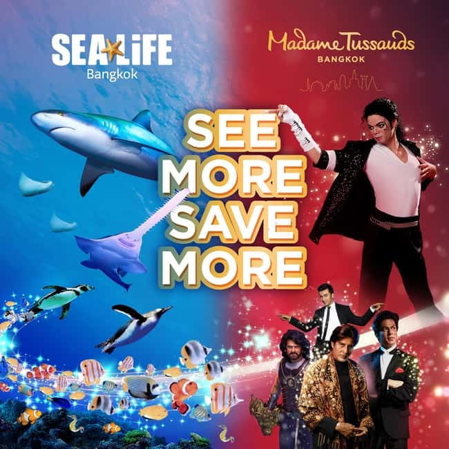 Bangkok: SEA LIFE Bangkok & Madame Tussauds Entry Ticket - Rockpool, coral reefs, and the Penguin Ice Playground