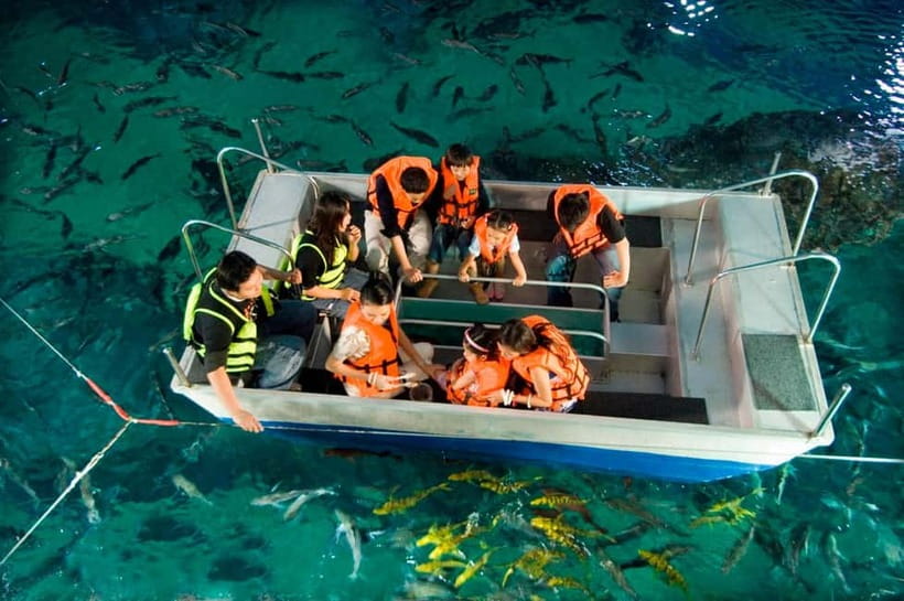 Bangkok: SEA LIFE Bangkok Ocean World Entry Ticket - The Ocean Tunnel and the large animals