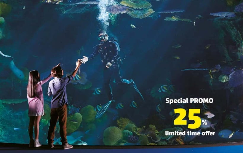 Bangkok: SEA LIFE Bangkok Ocean World Entry Ticket - The first tanks: coral, rock, and freshwater life