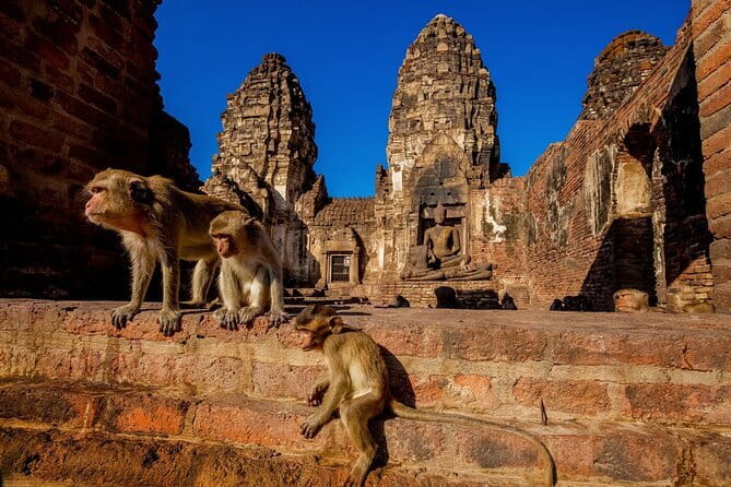 Bangkok to Ayutthaya Lopburi Monkey Temple, Largest Buddha Tour - Key points at a glance