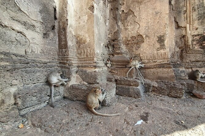 Bangkok to Ayutthaya Lopburi Monkey Temple, Largest Buddha Tour - What this Bangkok day trip actually covers