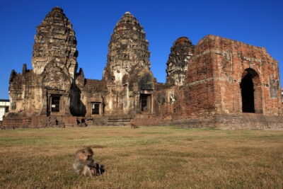 Bangkok to Ayutthaya Lopburi Monkey Temple, Largest Buddha Tour