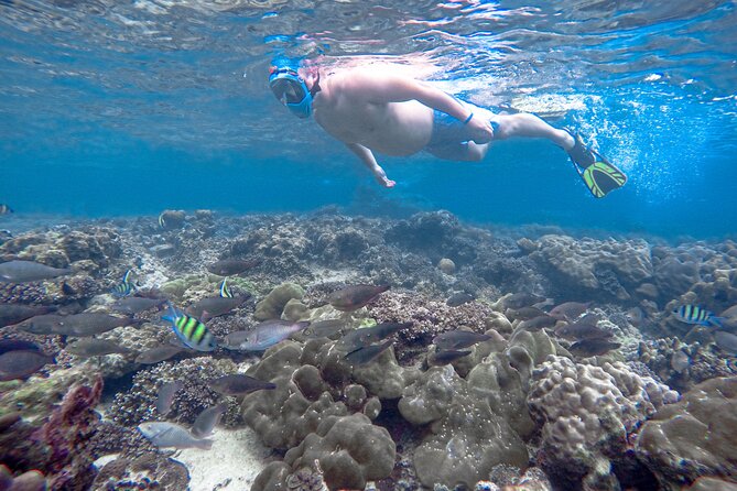 Best of Phi Phi Islands Snorkeling Tour from Phuket - A fast start from Royal Phuket Marina