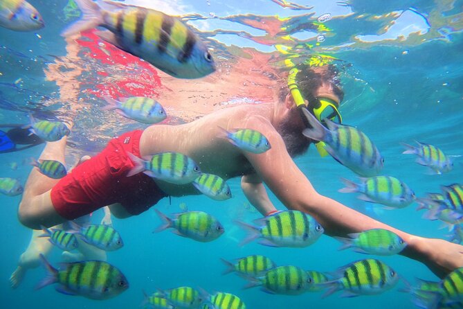 Best of Phi Phi Islands Snorkeling Tour from Phuket - Maya Bay is famous for a reason, but it is not a quiet beach