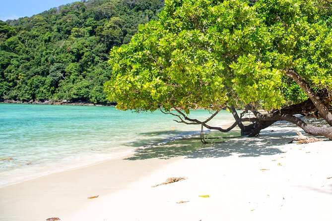 Best Seller - Surin Islands Snorkeling Trip from Khao Lak - Mai Ngam Beach and the Moken community