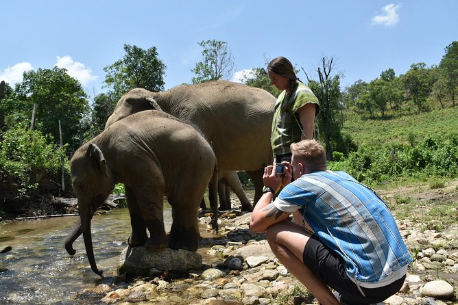Care Pride Elephants: Full-Day Tour Experience - Washing the elephants in the river
