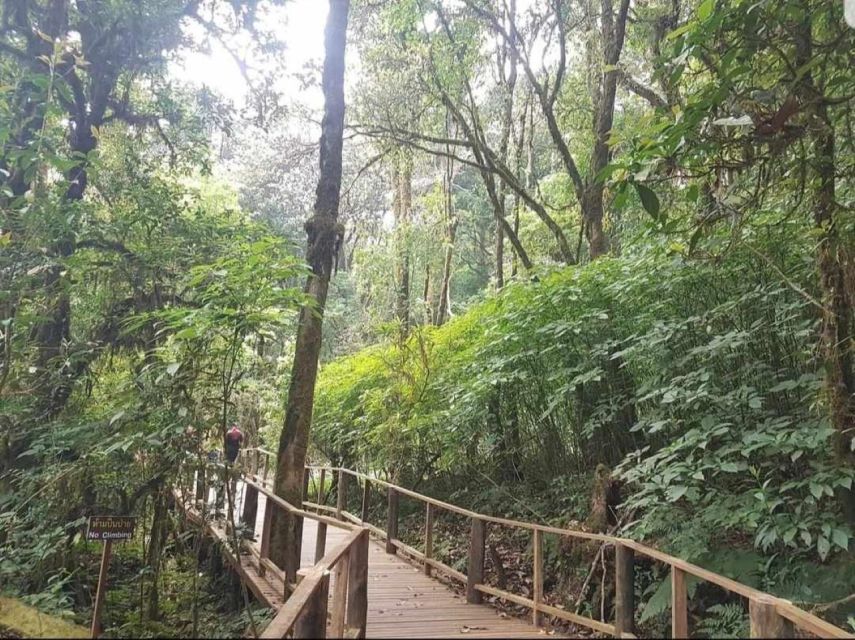 Chang Mai: Doi Inthanon Day Tour w/Waterfalls & Hilltribes - Why Doi Inthanon works as a day trip