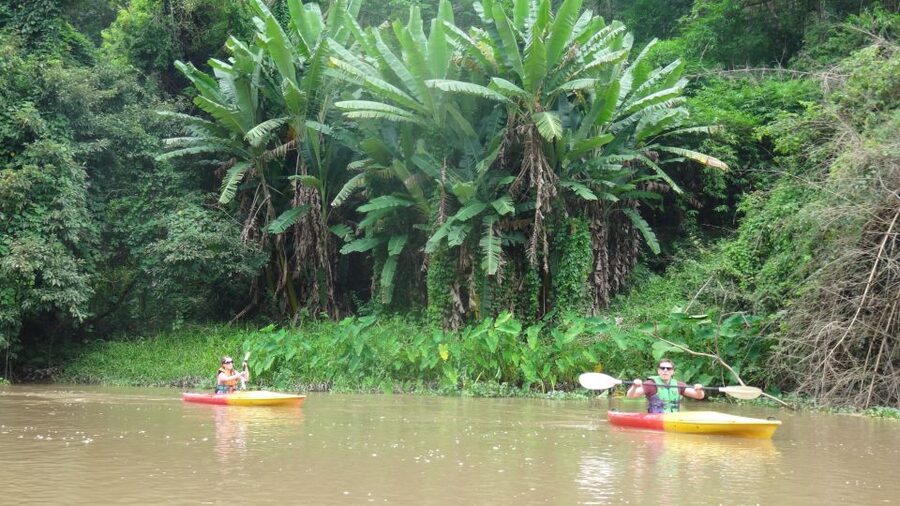 Chiang Mai: 15 km Leisure River Kayaking at Mae Ngat forest - Key points to know before you book