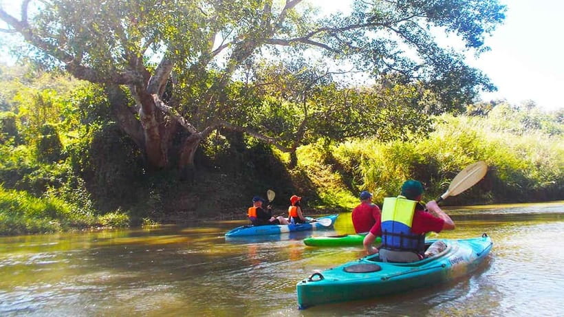 Chiang Mai: 15 km Leisure River Kayaking at Mae Ngat forest - How much value do you get for $62?