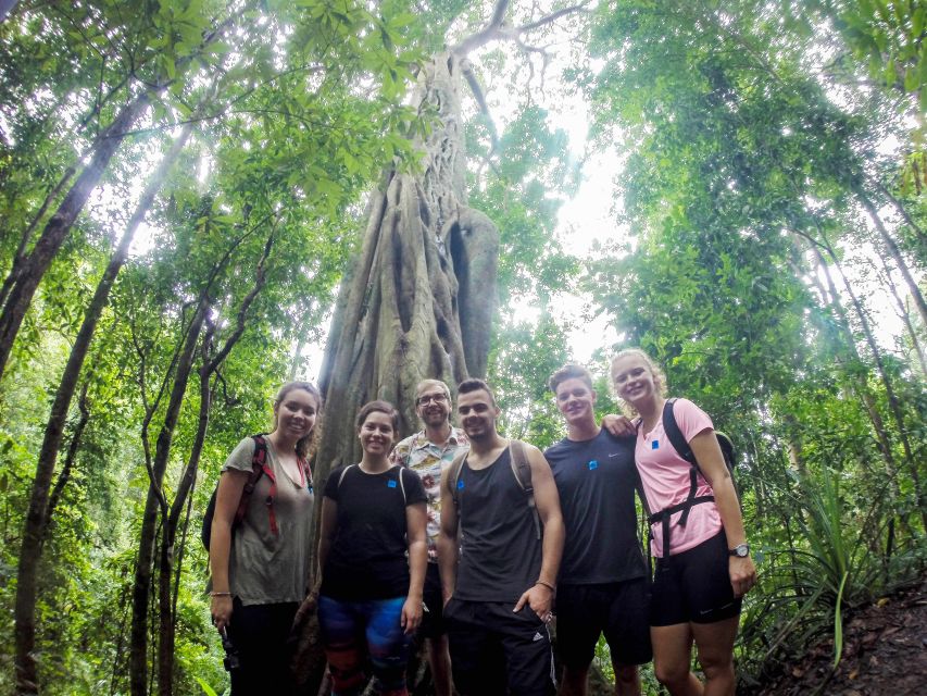 Chiang Mai: 7-Hour Doi Suthep National Park Summit Hiking - Key points to know before booking