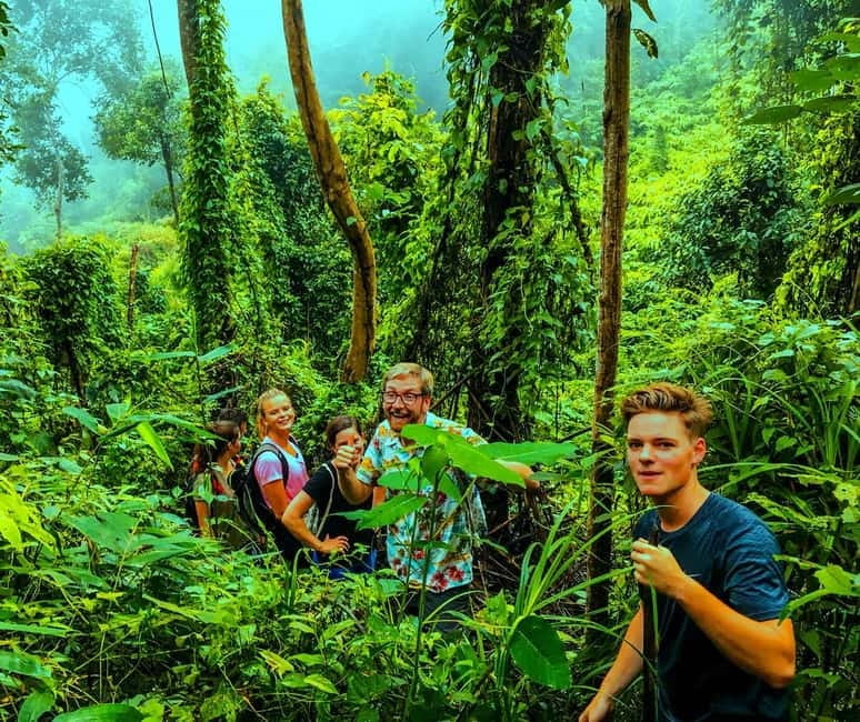 Chiang Mai: 7-Hour Doi Suthep National Park Summit Hiking - Reaching Doi Pui and the Hmong village