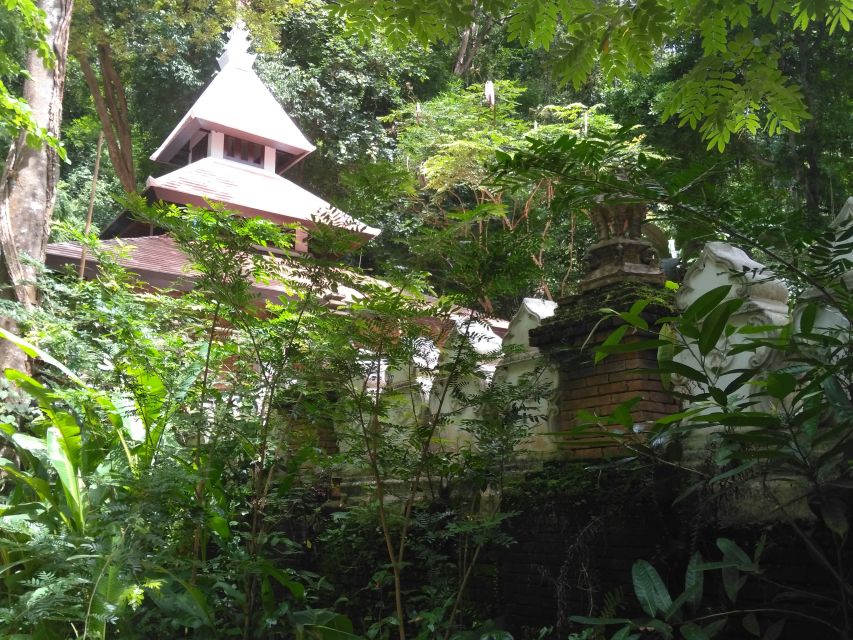 Chiang Mai: 7-Hour Doi Suthep National Park Summit Hiking - How difficult is the route?